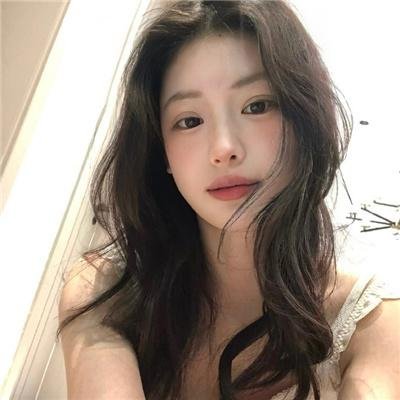 狼与狮子
